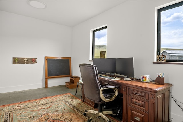 42730 Ridgeway Rd, Charlo, MT 59824 - office featuring baseboards