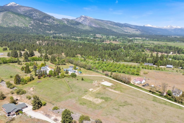 275 Chads Rd, Hamilton, MT 59840