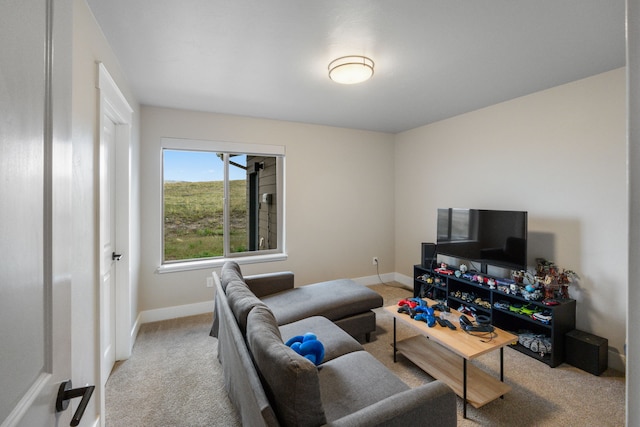 4910 Lauryn Ct, Helena, MT 59602 - living area featuring carpet