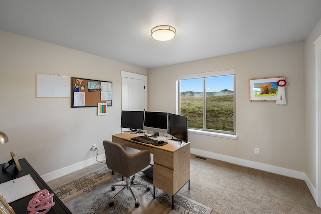 4910 Lauryn Ct, Helena, MT 59602 - office featuring baseboards and carpet floors