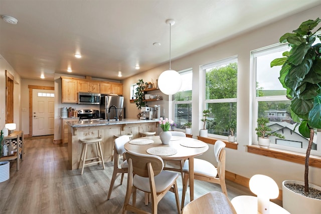 1245 Waverly St Unit 301, Missoula, MT 59802 - dining area with light wood finished floors and recessed lighting