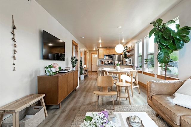 1245 Waverly St Unit 301, Missoula, MT 59802 - living area featuring light wood-type flooring