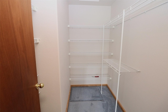 506 Centennial Dr, Sheridan, MT 59749 - walk in closet featuring carpet flooring