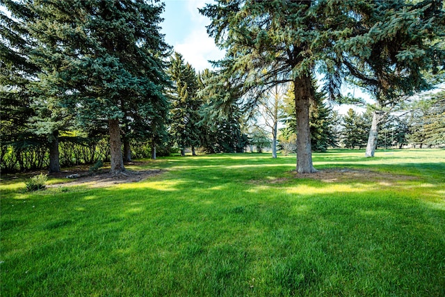 3495 Juniper Dr, Helena, MT 59602 - view of grassy yard