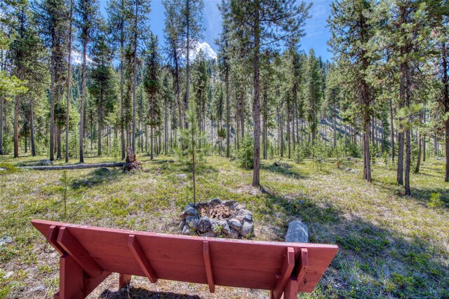 425 S O St, Sula, MT 59871 - view of yard featuring a forest view