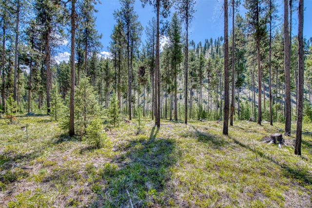 425 S O St, Sula, MT 59871 - view of woods
