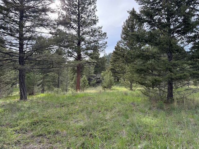 3 Bear Ct, Clancy, MT 59634