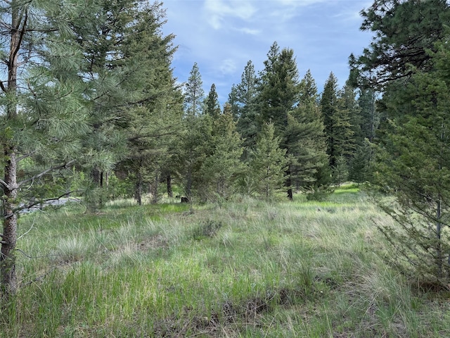3 Bear Ct, Clancy, MT 59634