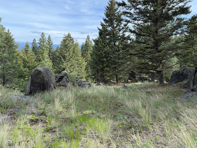 3 Bear Ct, Clancy, MT 59634