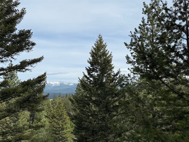 3 Bear Ct, Clancy, MT 59634