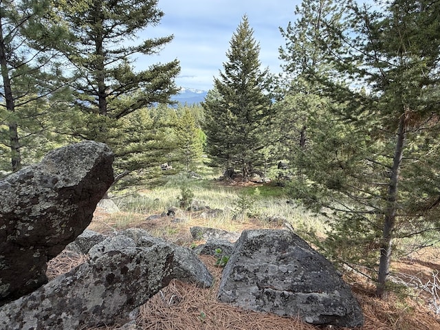 3 Bear Ct, Clancy, MT 59634