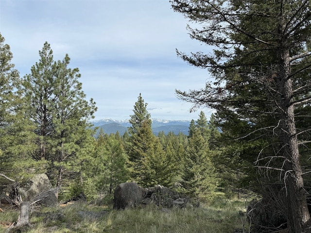 3 Bear Ct, Clancy, MT 59634