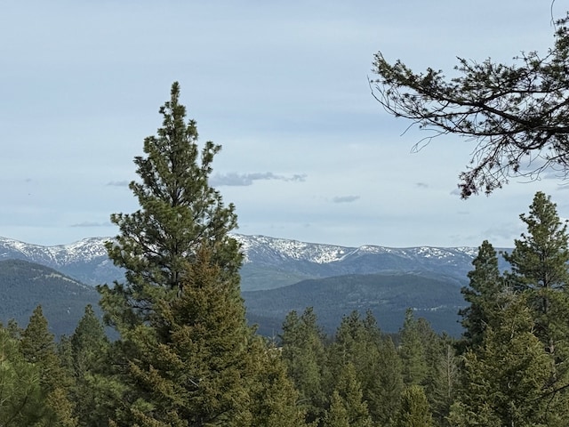 3 Bear Ct, Clancy, MT 59634