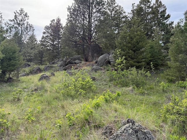 3 Bear Ct, Clancy, MT 59634