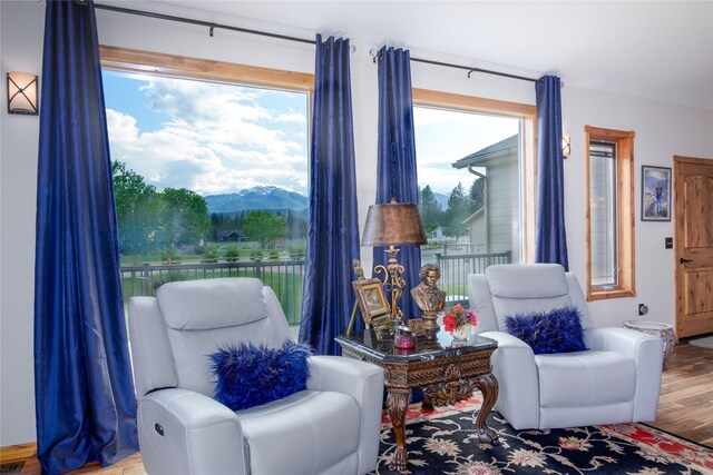 700 Airfield Rd, Libby, MT 59923 - living area featuring wood finished floors and a mountain view