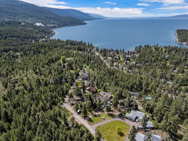 33893 Redgate Dr, Bigfork, MT 59911 - aerial view of property's location featuring a heavily wooded area and a water and mountain view