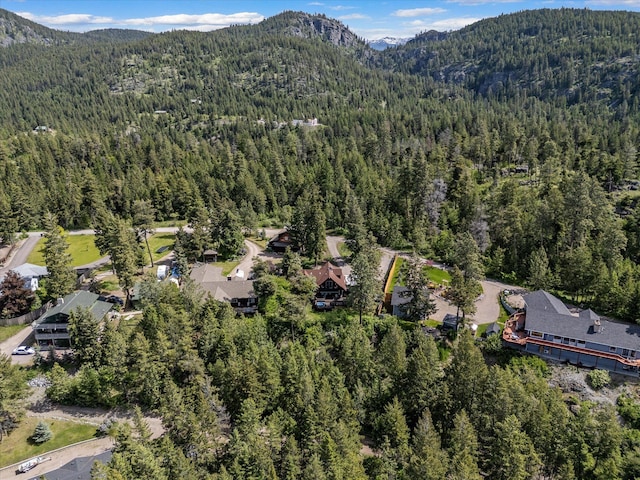 33893 Redgate Dr, Bigfork, MT 59911 - aerial view of property and surrounding area with a forest and a mountain backdrop