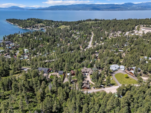 33893 Redgate Dr, Bigfork, MT 59911 - aerial overview of property's location featuring a forest and a water and mountain view