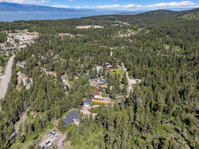 33893 Redgate Dr, Bigfork, MT 59911 - aerial overview of property's location featuring a forest and a water and mountain view