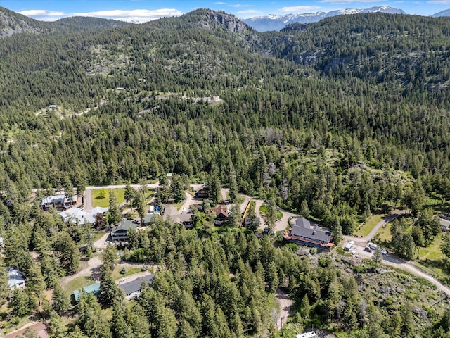 33893 Redgate Dr, Bigfork, MT 59911 - aerial overview of property's location featuring a forest and a mountain backdrop