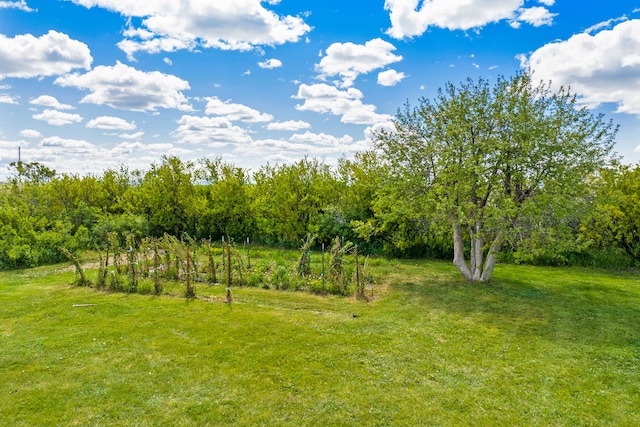 151 6th Ln NE, Fairfield, MT 59436 - view of grassy yard