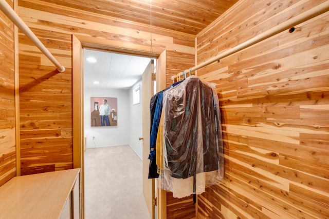 630 Woodworth Ave, Missoula, MT 59801 - spacious closet with carpet flooring