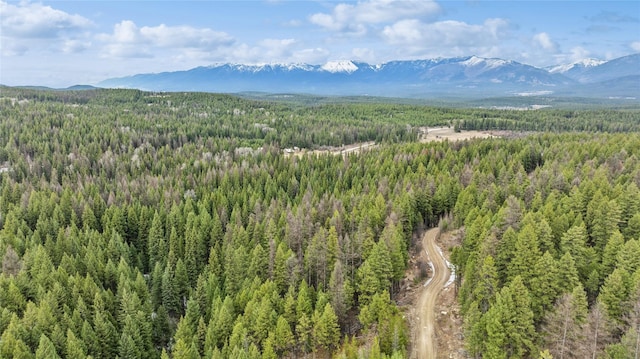 388 Coyote Ridge Pass Rd, Fortine, MT 59918