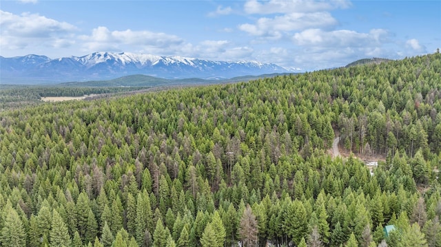 388 Coyote Ridge Pass Rd, Fortine, MT 59918