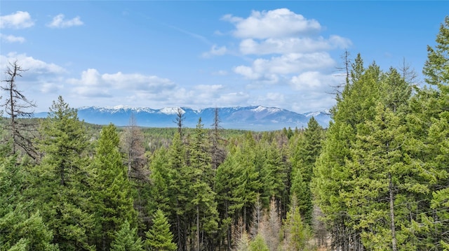 388 Coyote Ridge Pass Rd, Fortine, MT 59918