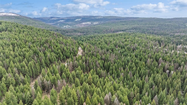 388 Coyote Ridge Pass Rd, Fortine, MT 59918