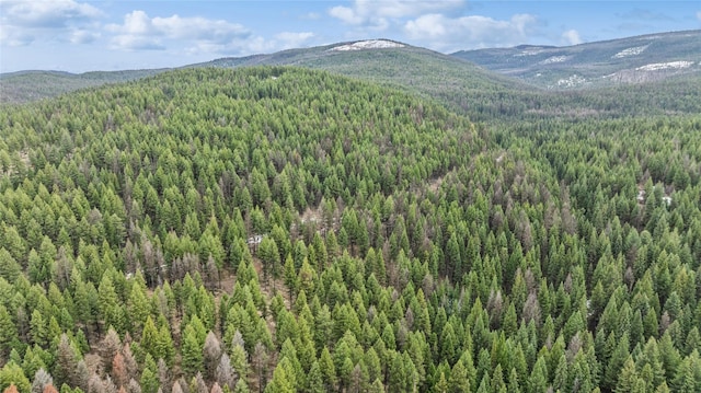 388 Coyote Ridge Pass Rd, Fortine, MT 59918