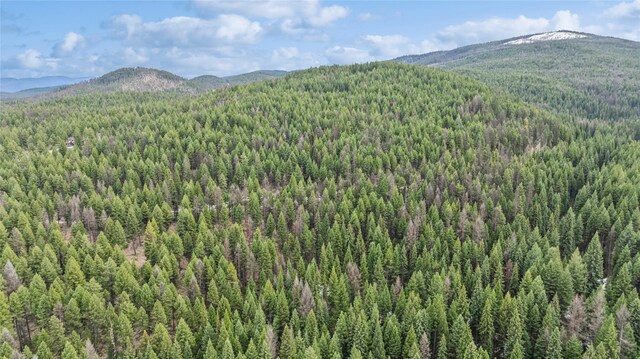 388 Coyote Ridge Pass Rd, Fortine, MT 59918