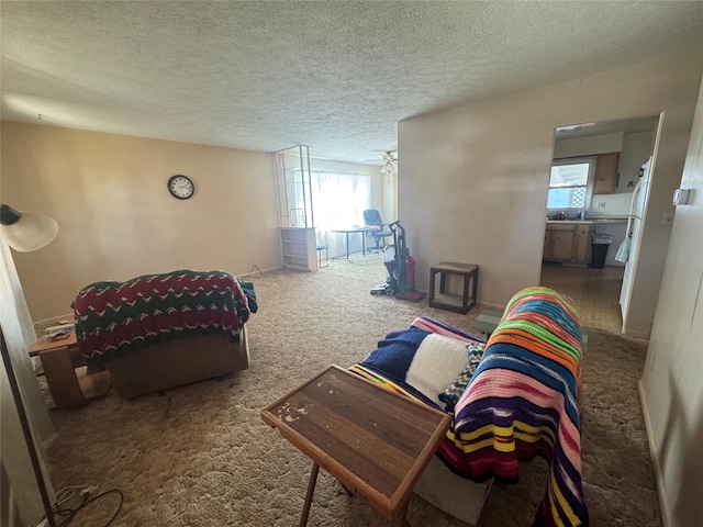 1030 Washington Ave, Havre, MT 59501 - carpeted living room with plenty of natural light and a textured ceiling