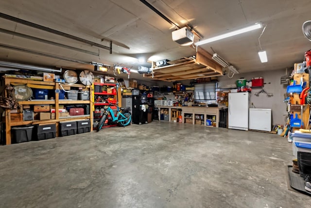 36 Winchester St, Kalispell, MT 59901 - garage featuring freestanding refrigerator, a garage door opener, a workshop area, and fridge