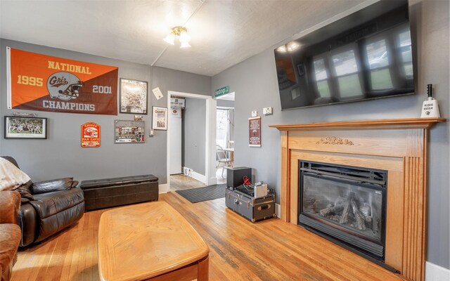831 Hastings Ave, Missoula, MT 59801 - living room with wood finished floors and a glass covered fireplace