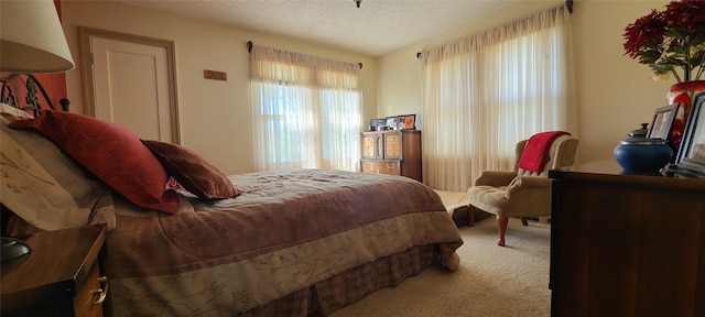 225 4th Ave SE, Dutton, MT 59433 - carpeted bedroom with a textured ceiling