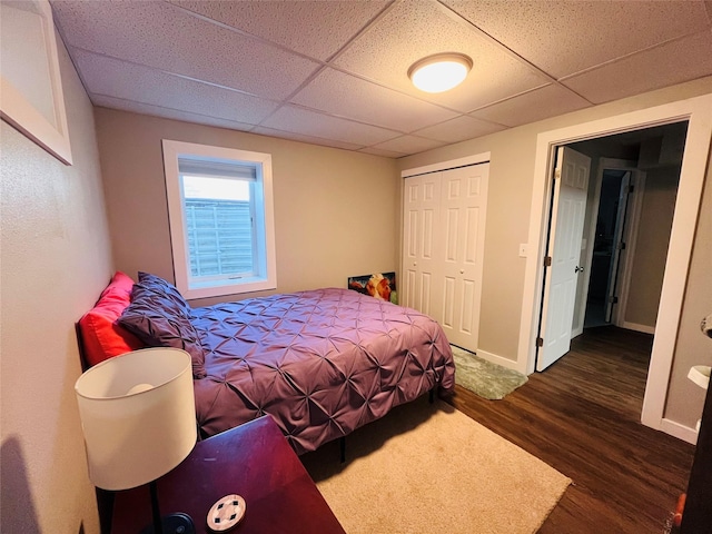 502 Illinois Ave, Valier, MT 59486 - bedroom featuring dark wood-type flooring, a drop ceiling, a closet, and baseboards