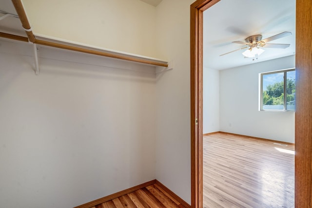 144 Beargrass Ln, Kalispell, MT 59901 - walk in closet featuring wood finished floors and ceiling fan