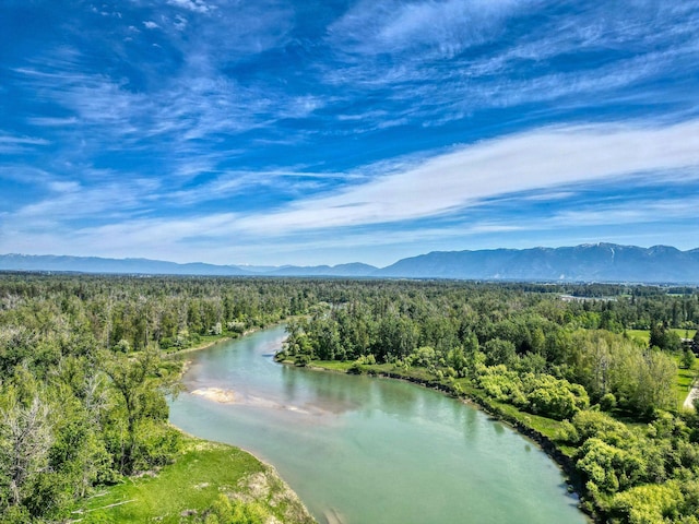 144 Beargrass Ln, Kalispell, MT 59901 - aerial view of a forest and a water and mountain view
