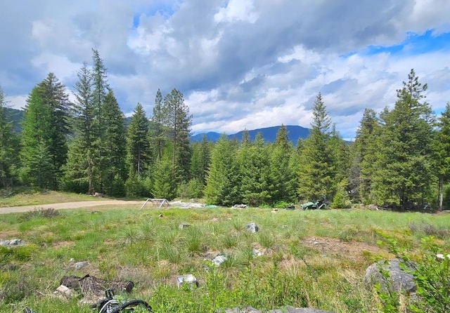 438 Little Mill Creek Rd, Saint Regis, MT 59866 - view of mountain background with a forest