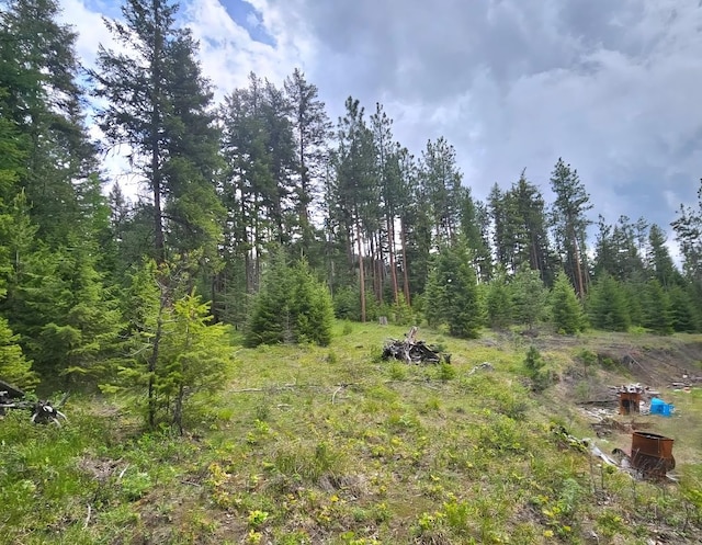 438 Little Mill Creek Rd, Saint Regis, MT 59866 - view of woods