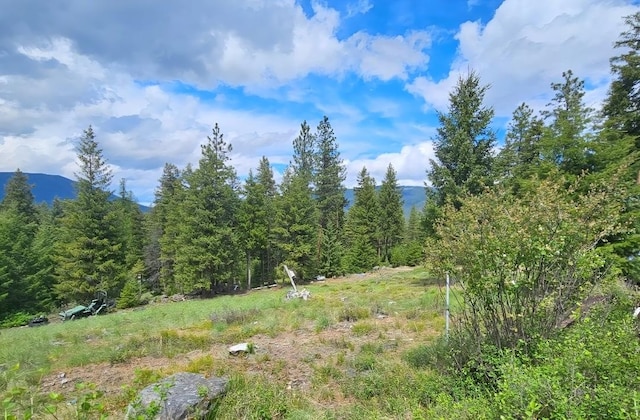 438 Little Mill Creek Rd, Saint Regis, MT 59866 - view of wooded area with a mountain view