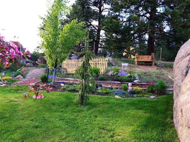 20 Penny Ln, Clancy, MT 59634 - view of yard