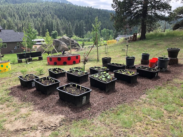 20 Penny Ln, Clancy, MT 59634 - view of grassy yard featuring a forest view and a garden