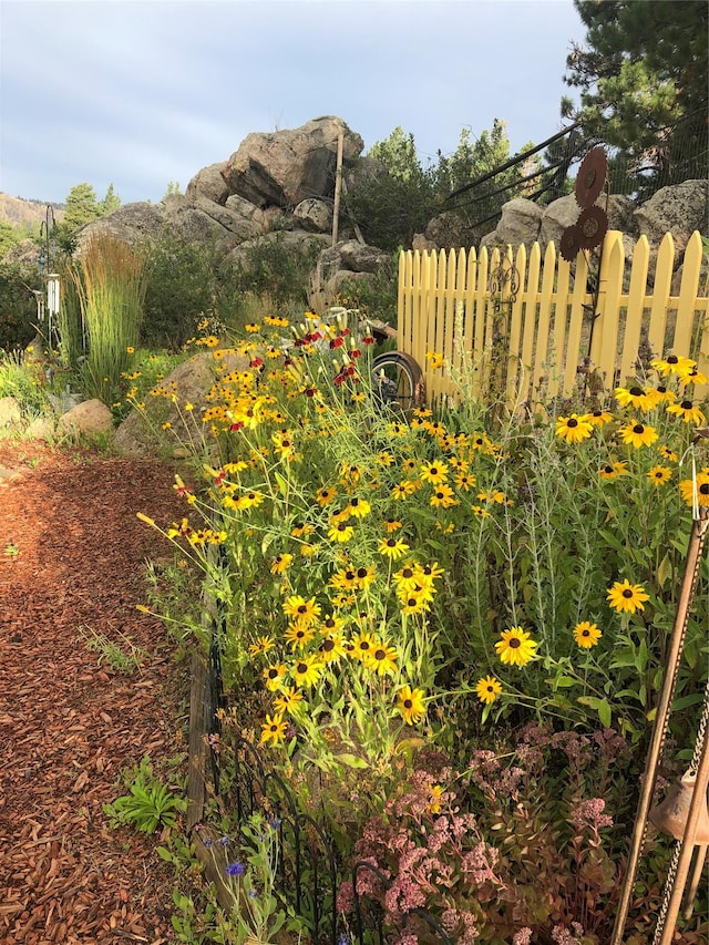 20 Penny Ln, Clancy, MT 59634 - view of yard