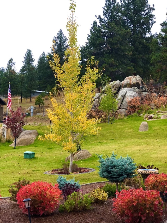 20 Penny Ln, Clancy, MT 59634 - view of home's community featuring a yard