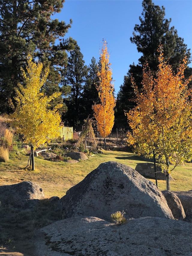 20 Penny Ln, Clancy, MT 59634 - view of yard