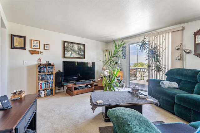 2404 56th St, Missoula, MT 59803 - living area with carpet