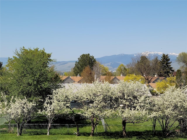 2404 56th St, Missoula, MT 59803 - mountain view