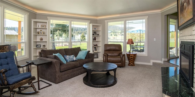 345 Ash Dr, Butte, MT 59701 - carpeted living area with ornamental molding and baseboards